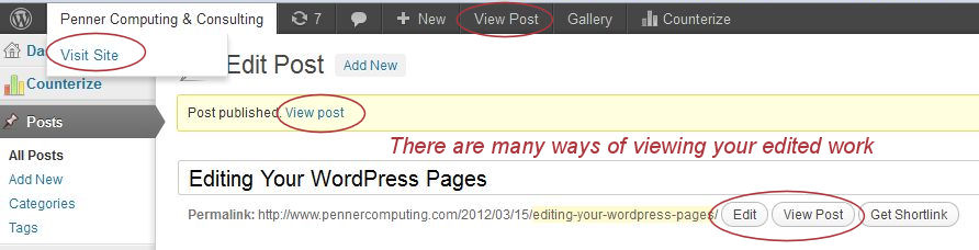 blog5 WordPress - Checking your edited work.